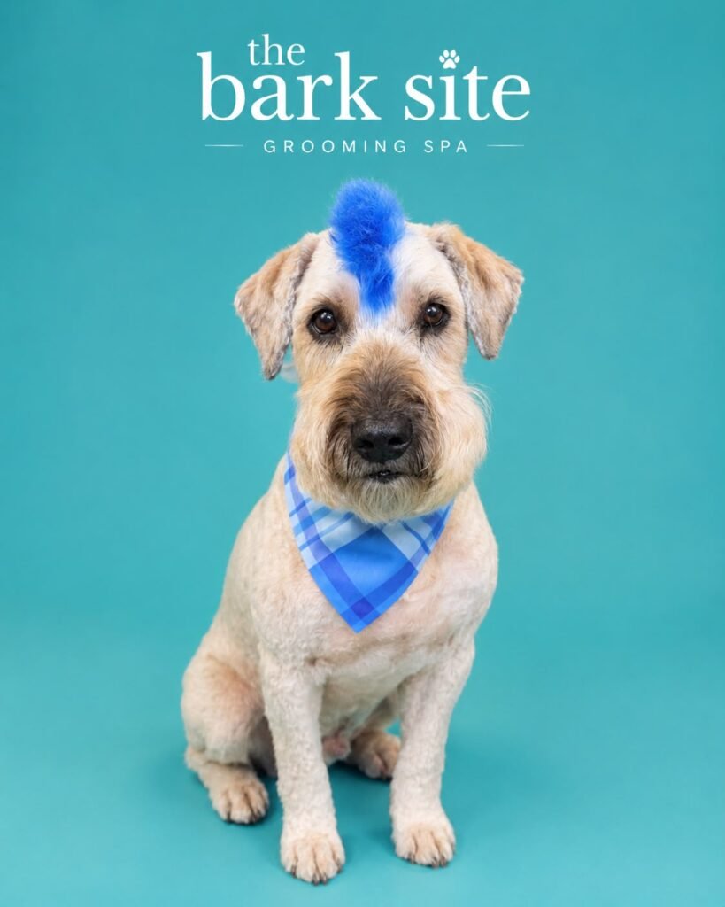 Grooming result 1 from The Bark Site’s original gallery