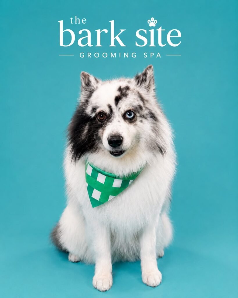 Grooming result 2 from The Bark Site’s original gallery