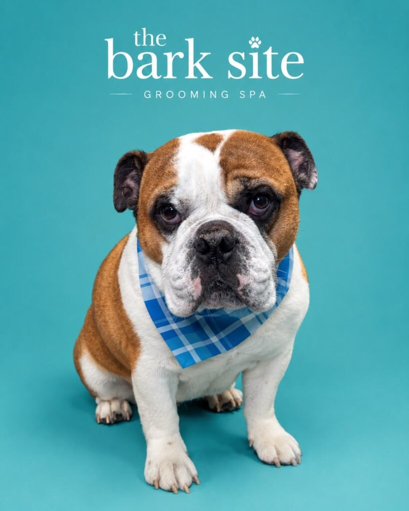 Grooming result 3 from The Bark Site’s original gallery