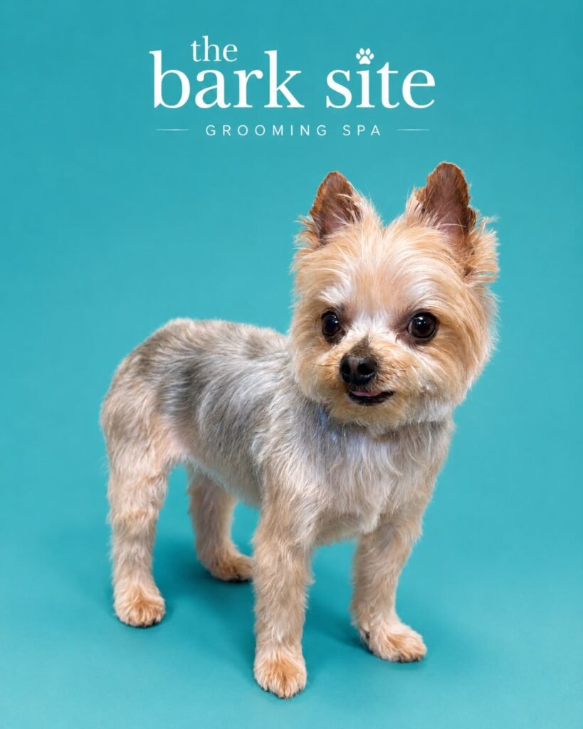 Grooming result 4 from The Bark Site’s original gallery